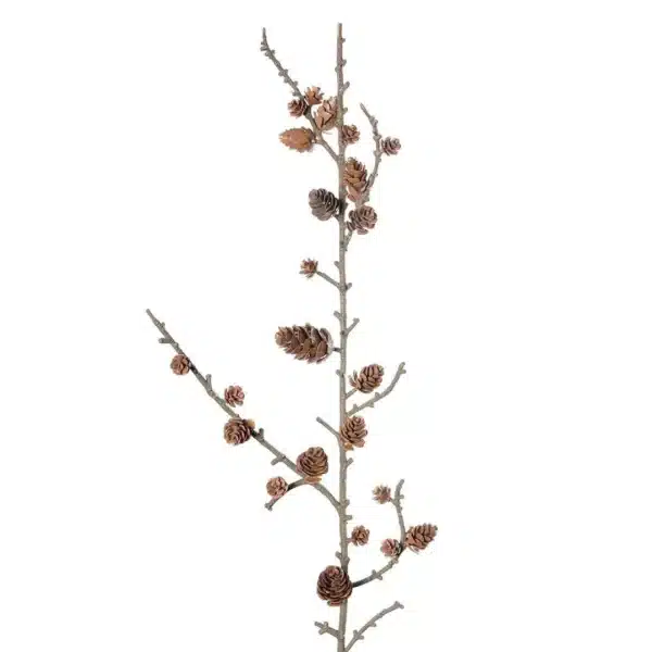 Twig Stem with Cones