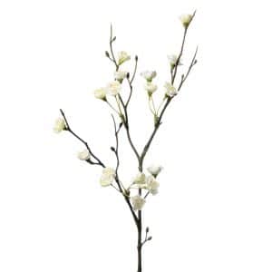 White Cherry Branch