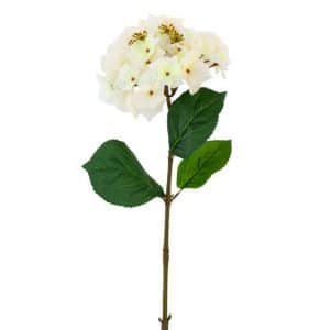 White Hydrangea Stem