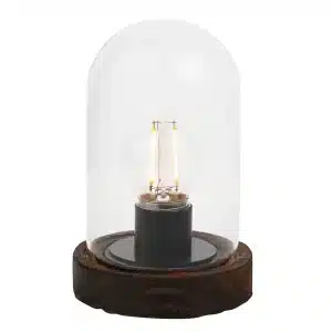 LED Glass Dome (Battery Operated)