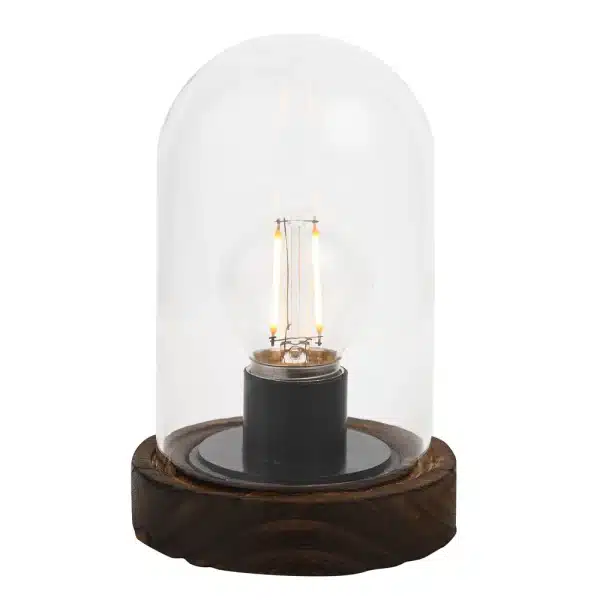 LED Glass Dome (Battery Operated)