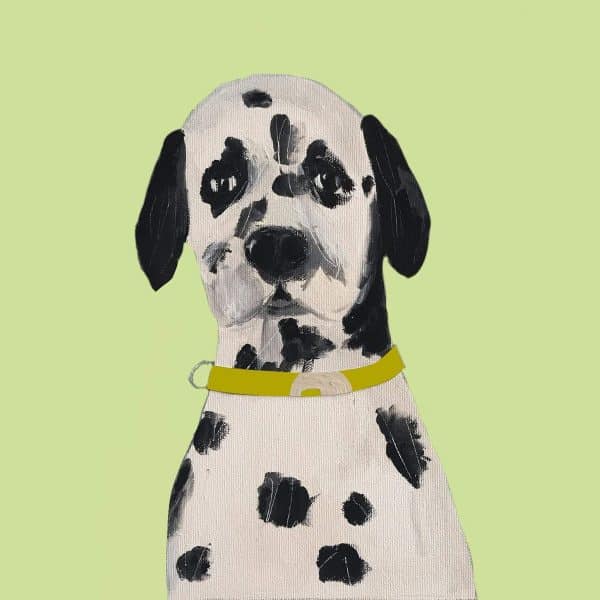 Hugo Dalmatian Card
