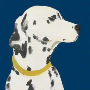 Hugo Waits Dalmatian Card