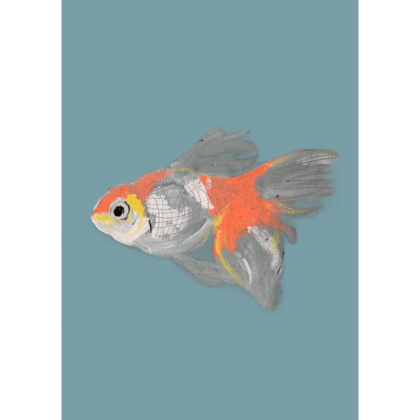Mr Fish A3 Print