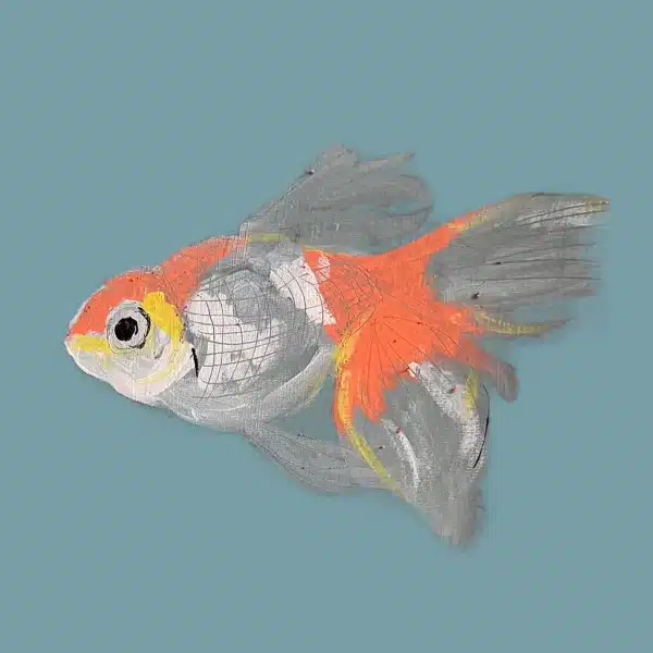 Mr Fish Card