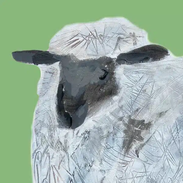 Sheep on a Hill Card