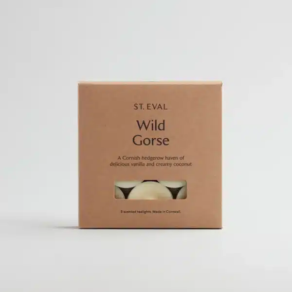 St Eval Wild Gorse Scented Tealights